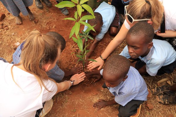 International Day of Peace and Tree Planting